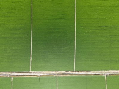 荊州市江陵縣江北一、二、三、五農(nóng)場808.40畝耕地及江北一農(nóng)場407.46畝零星耕地承租權(quán)依法按現(xiàn)狀進(jìn)行公開拍賣